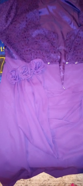 Lanz of Salzburg Purple Rayon Nylon Lace Special Occassion Nwt Dress (Size 26W )