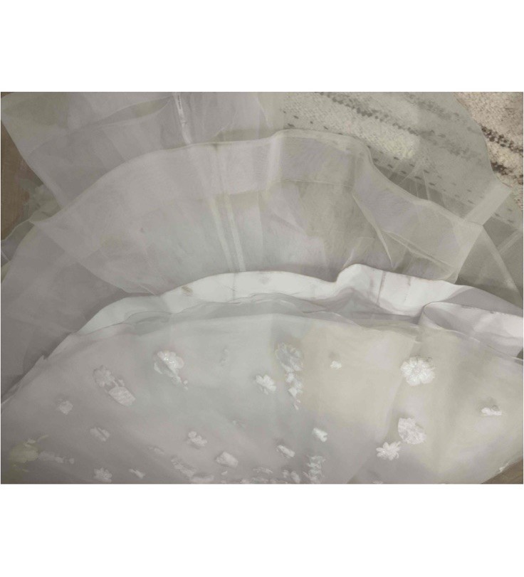 2024 Anne Barge Berkshire Wedding Dress With Custom Unbranded Veil