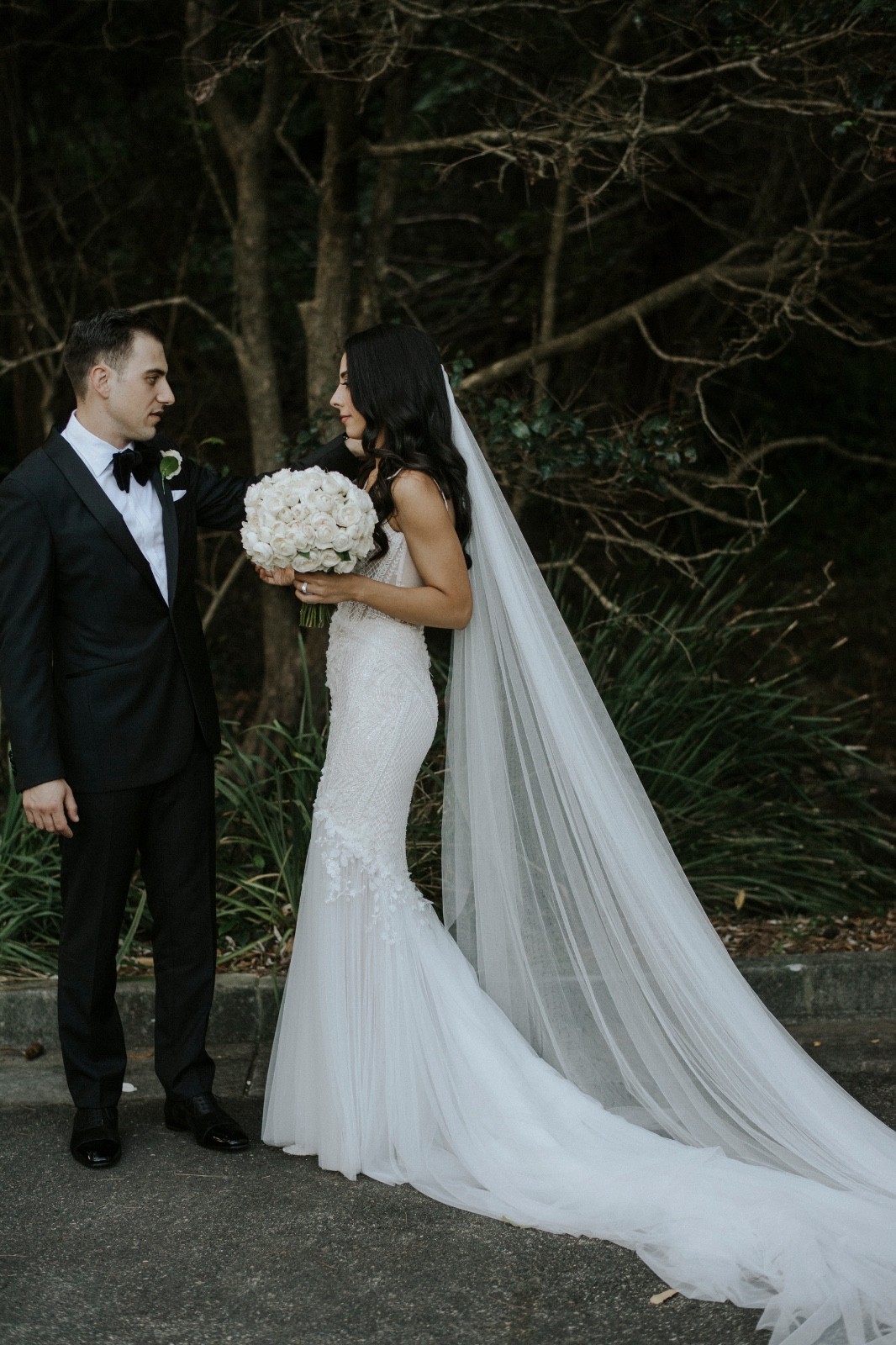 Pallas Couture Cadencia Gown and Veil