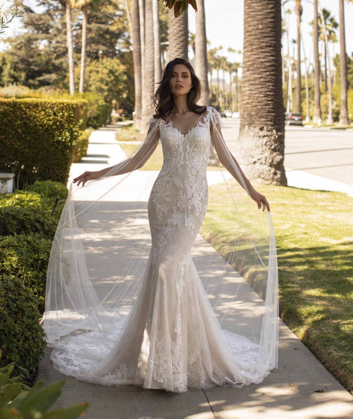 Dehaven, Pronovias & Ashley Graham Brand New Wedding Dress