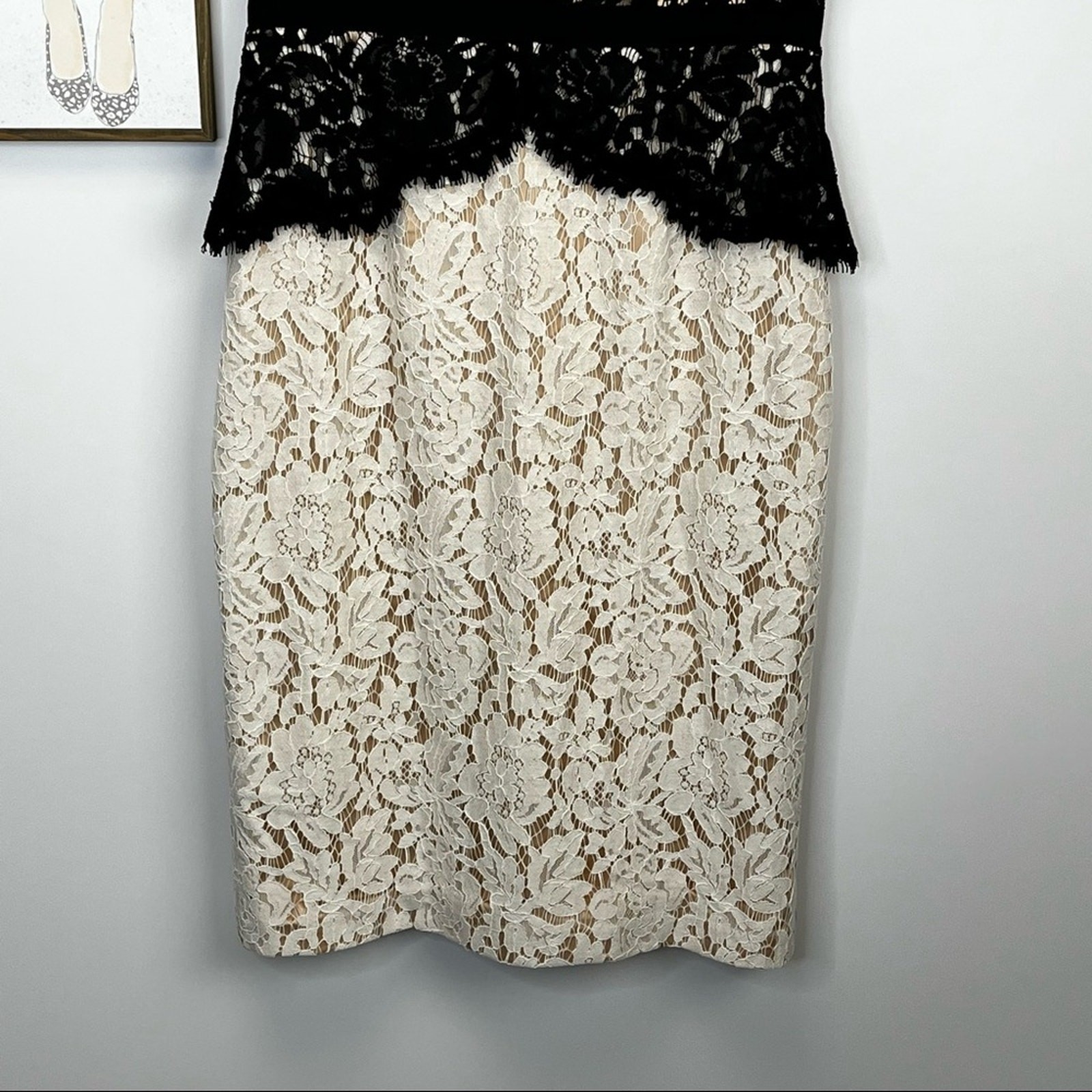 Eliza J Black and White Lace Nude Fully Lined Knee Length Dress Size 4