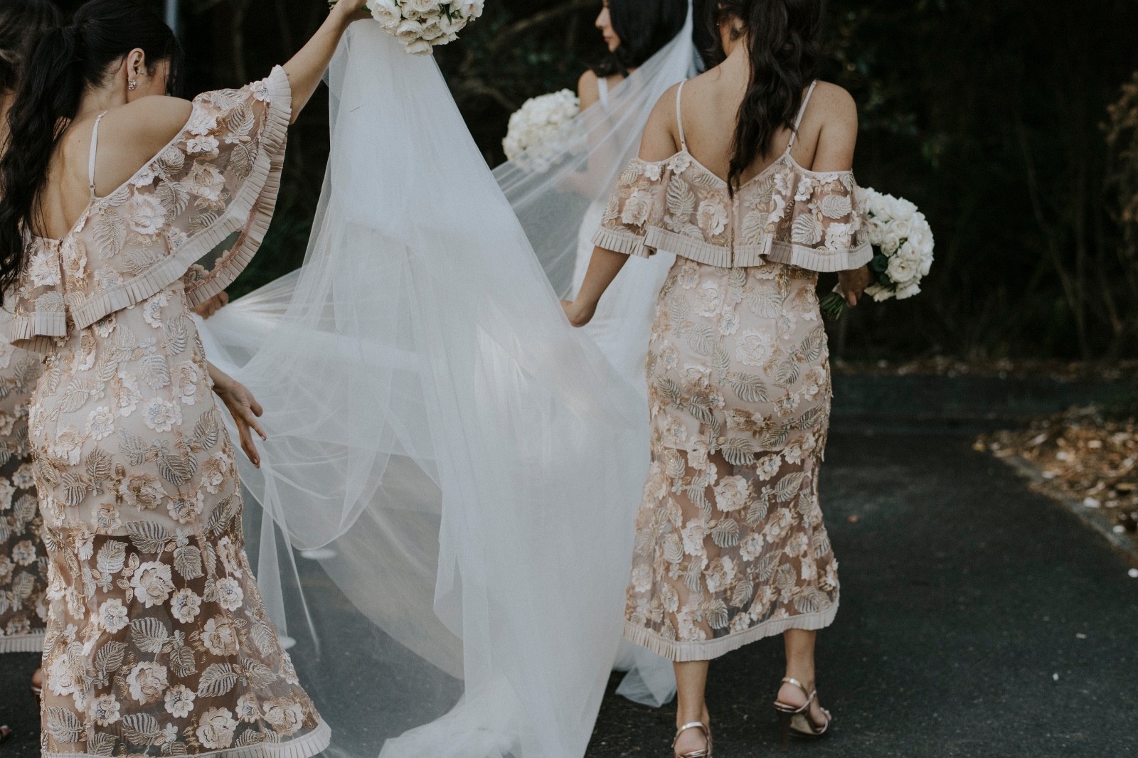 Pallas Couture Cadencia Gown and Veil