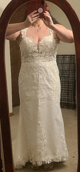 Ivory Lace Mermaid Wedding Dress Size 14 Petite