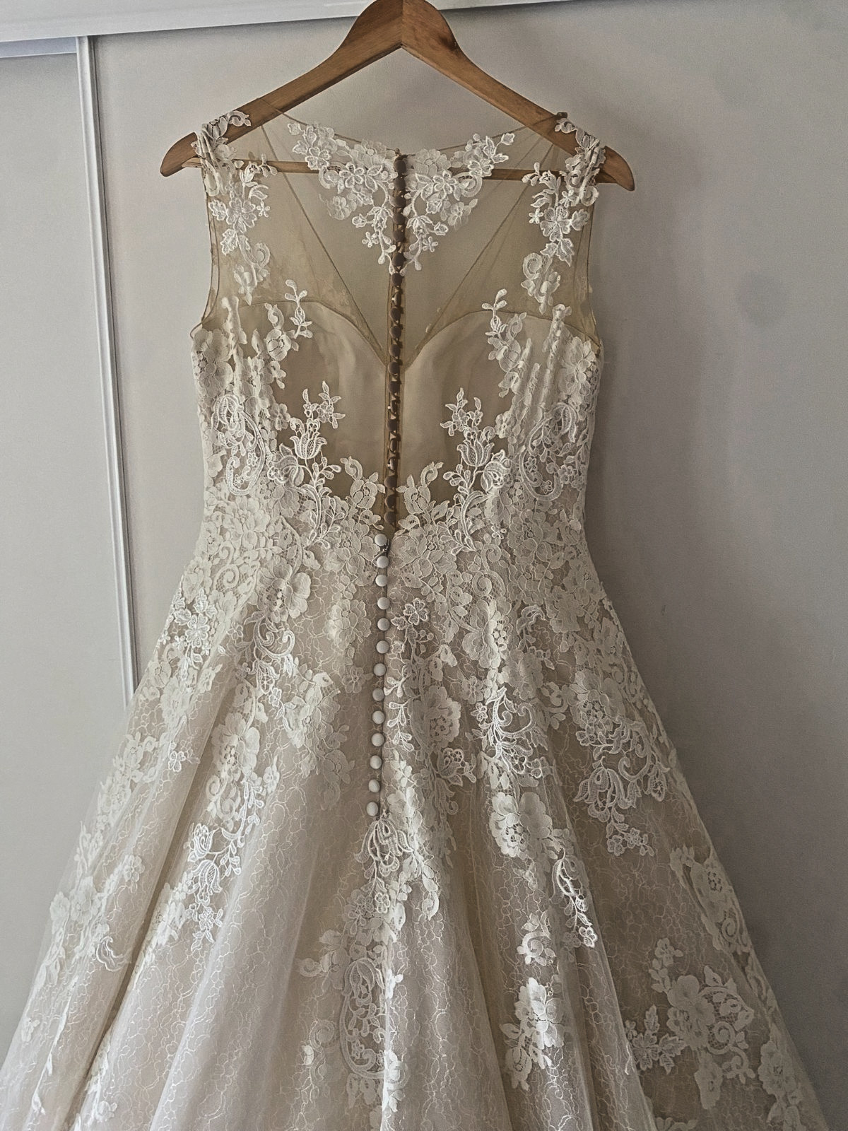 Provnias PrimaDonna Ivory and Beige A Line Size 12 (AU) Wedding Dress