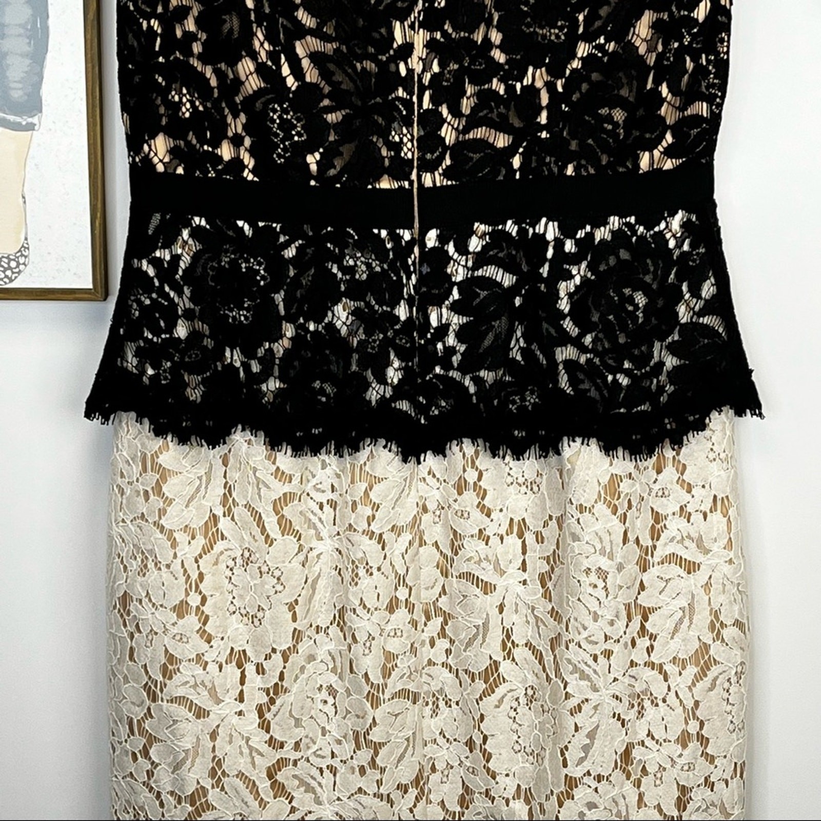 Eliza J Black and White Lace Nude Fully Lined Knee Length Dress Size 4