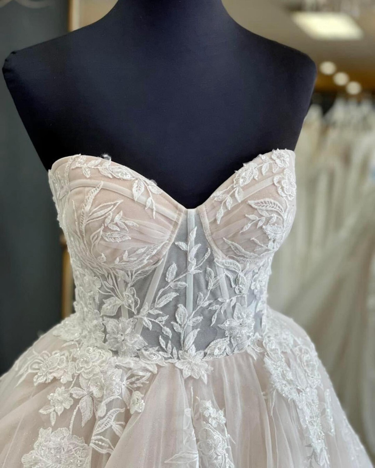 Fairytale Lace Wedding Dress Ball Gown Custom made 2-28W Illusion Corset Blush