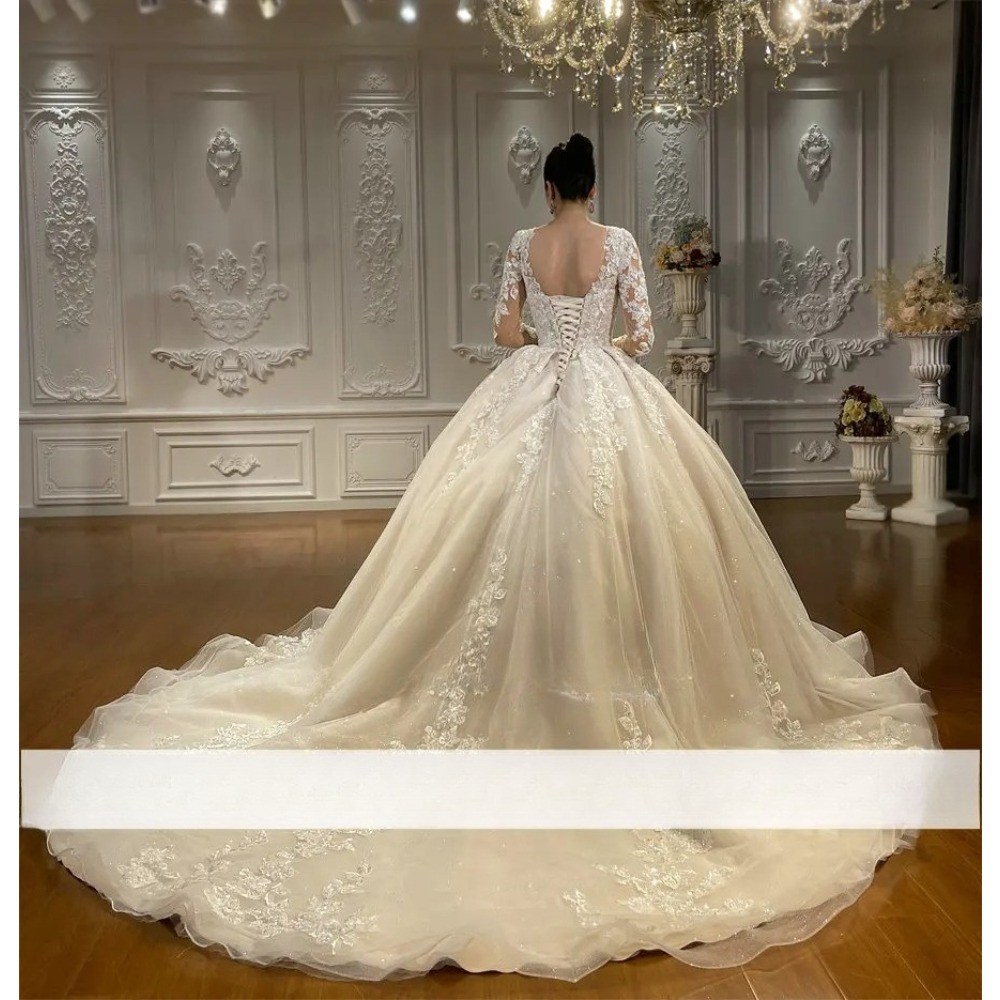 Long Sleeve V Neck Lace Ball Wedding Dresses Glitter Tulle Cathedral Train Gowns