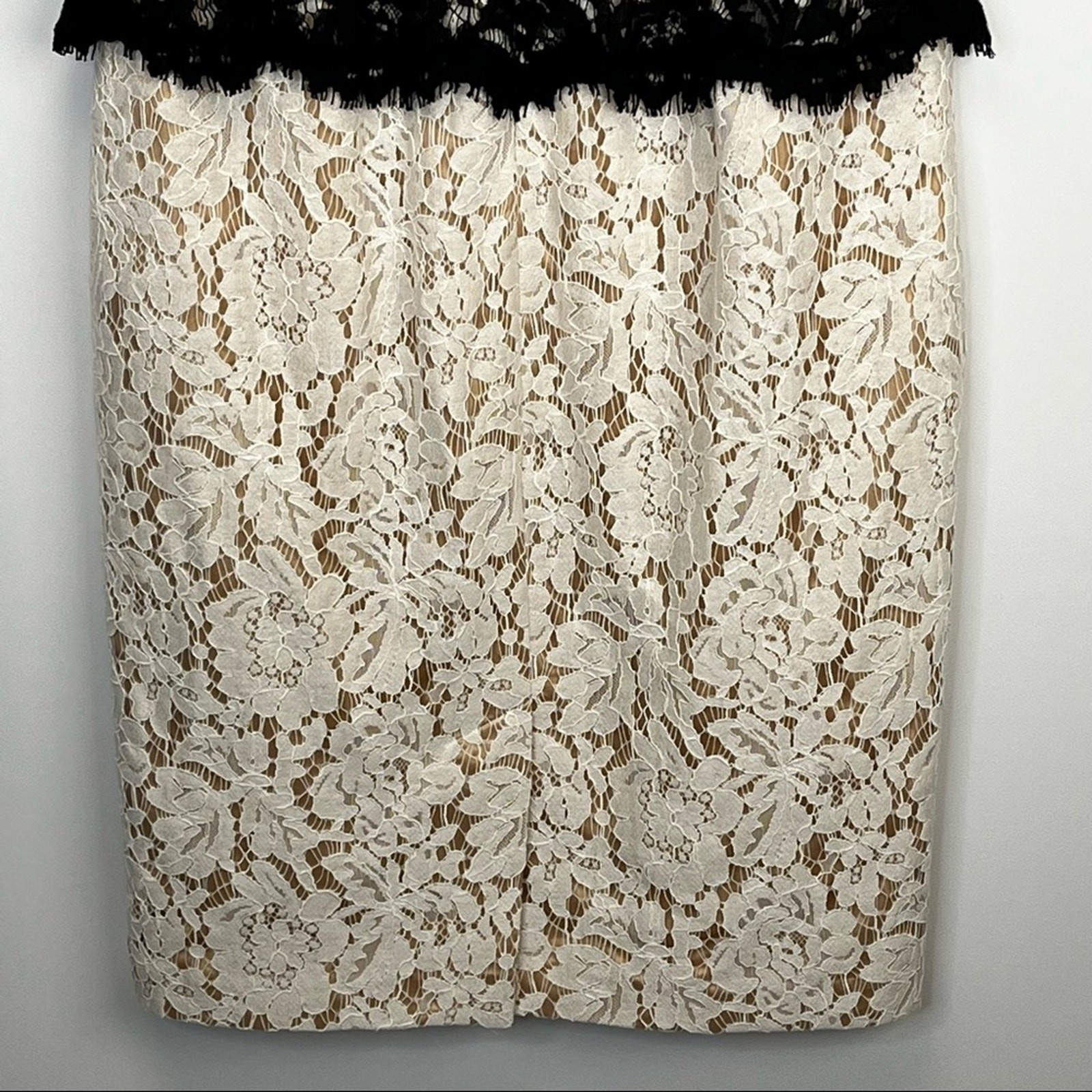 Eliza J Black and White Lace Nude Fully Lined Knee Length Dress Size 4