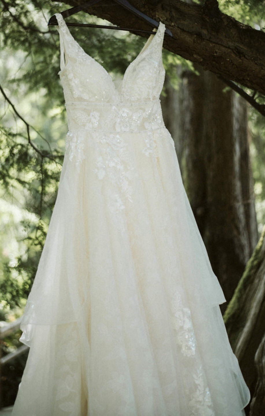 Champagne A Line Wedding Dress Beaded Straps Plunging V Neckline Open V Back