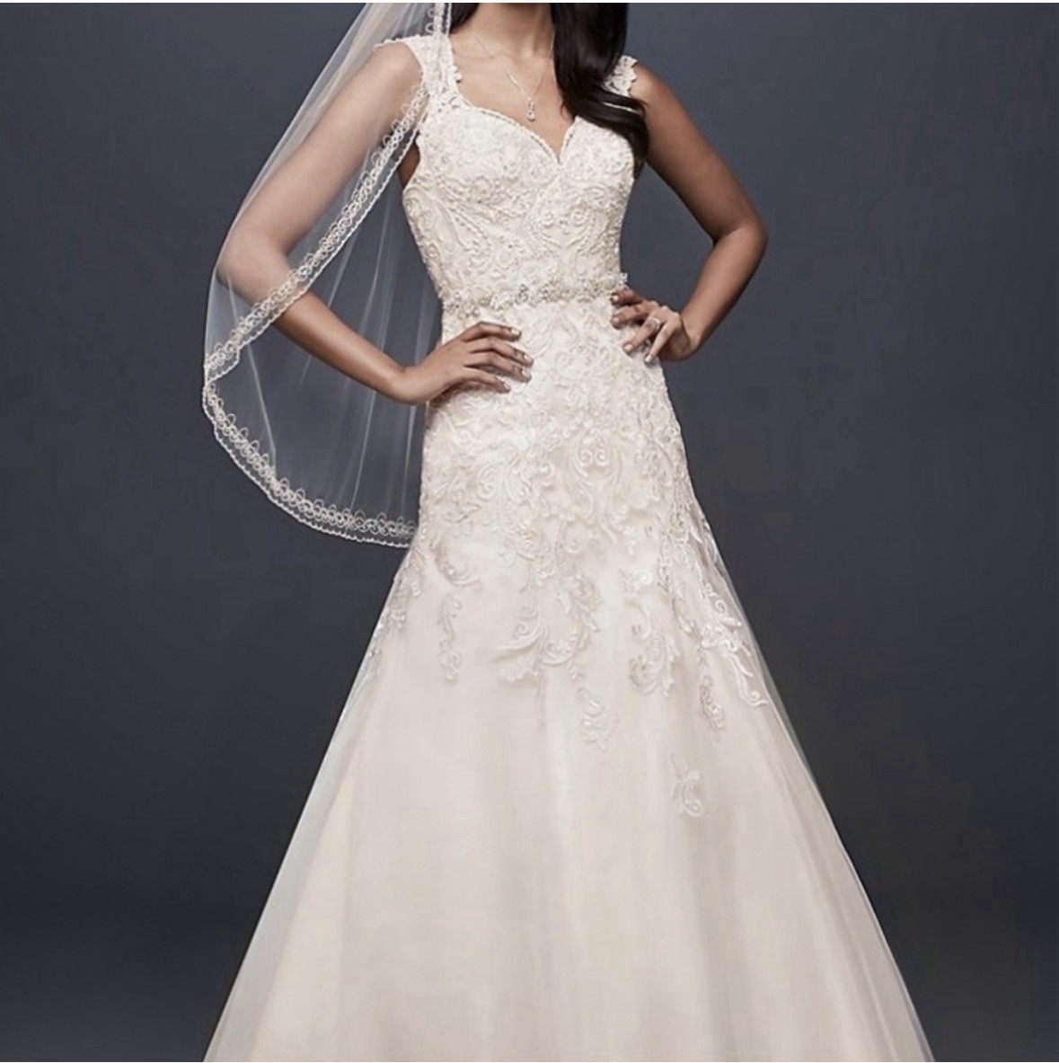 David’s Bridal Petites 12 Ivory/Champagne Lace Sweetheart Cap Sleeve Button