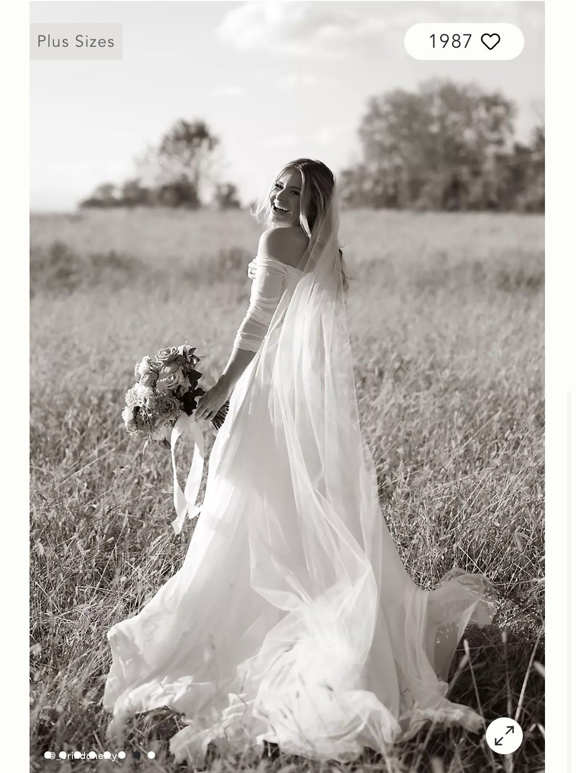 Wtoo by Watters Miles V-Neck Ruched Sleeve Mesh Wedding Gown Ivory BHLDN Sz 2