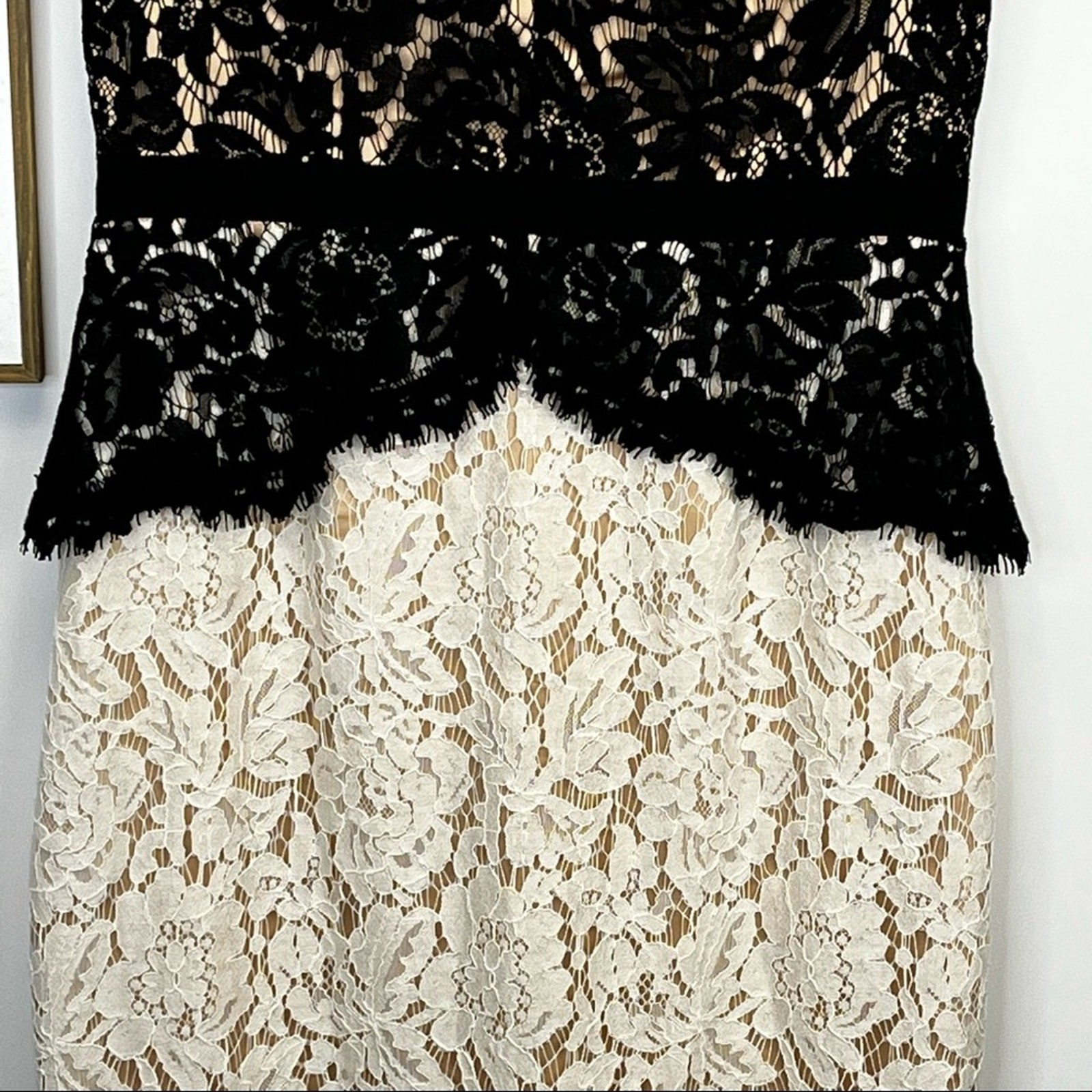 Eliza J Black and White Lace Nude Fully Lined Knee Length Dress Size 4