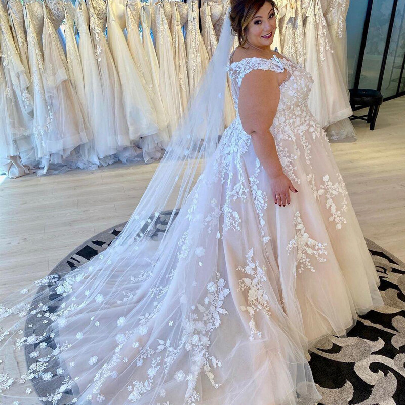 Plus Size Wedding Dresses Wide Strap Lace Applique Sleeveless V-Neck Bridal Gown