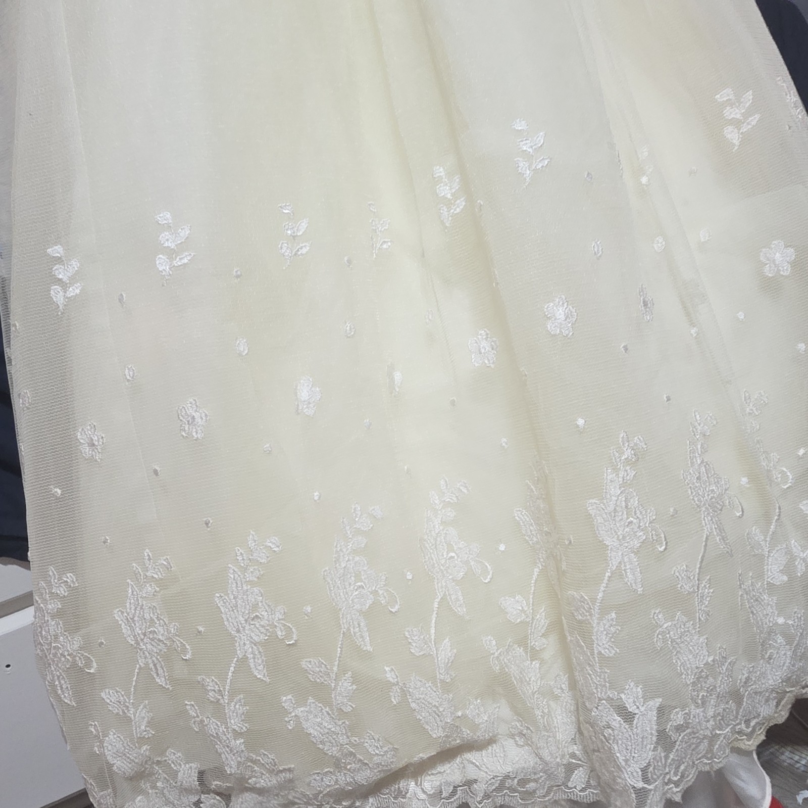 Ivory Sleeveless Scoop Neck Lace Embroidered Tulle Ball Gown Wedding Dress 10