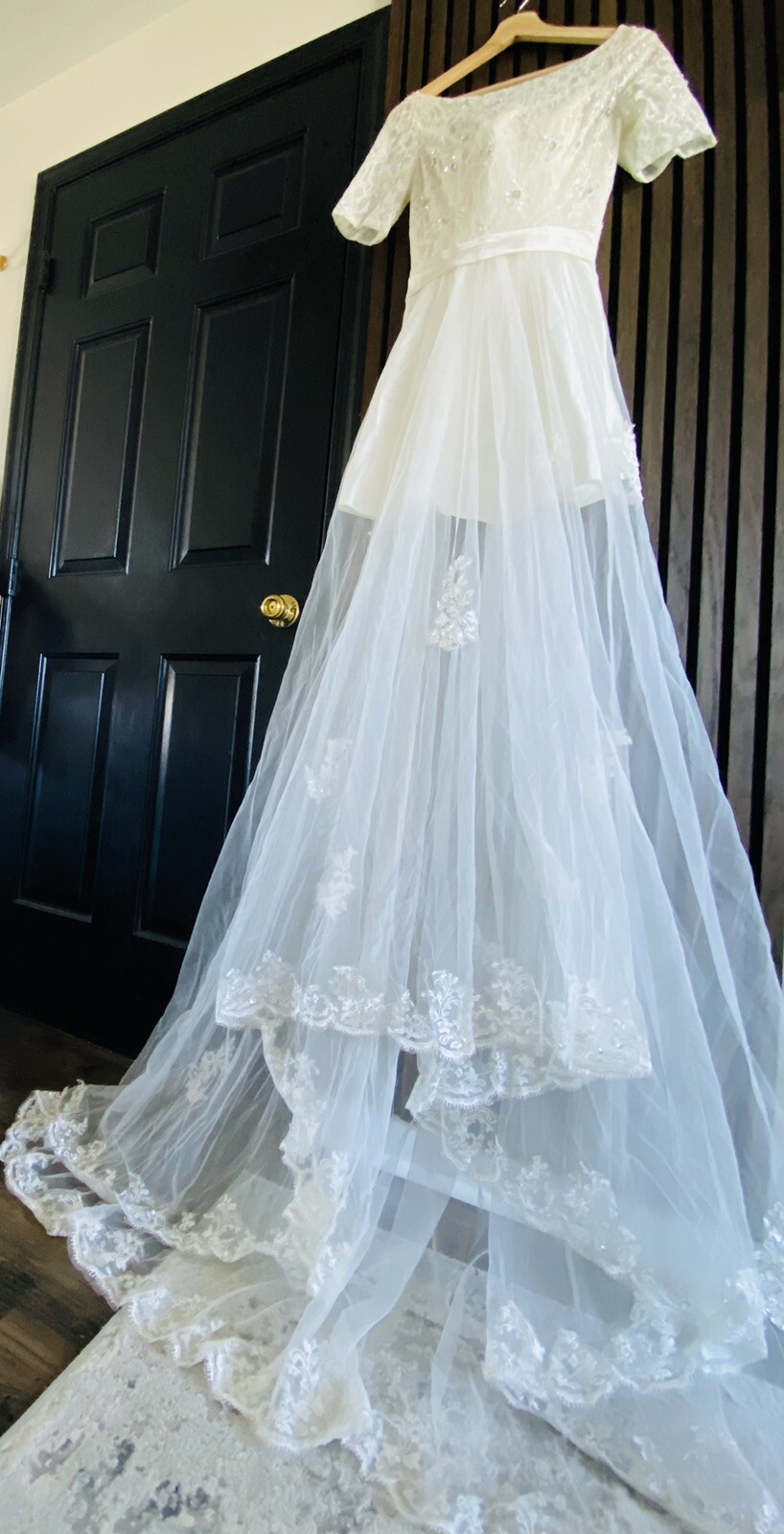 wedding dress mermaid Veil Tail See Thru. Brand New No Tag.