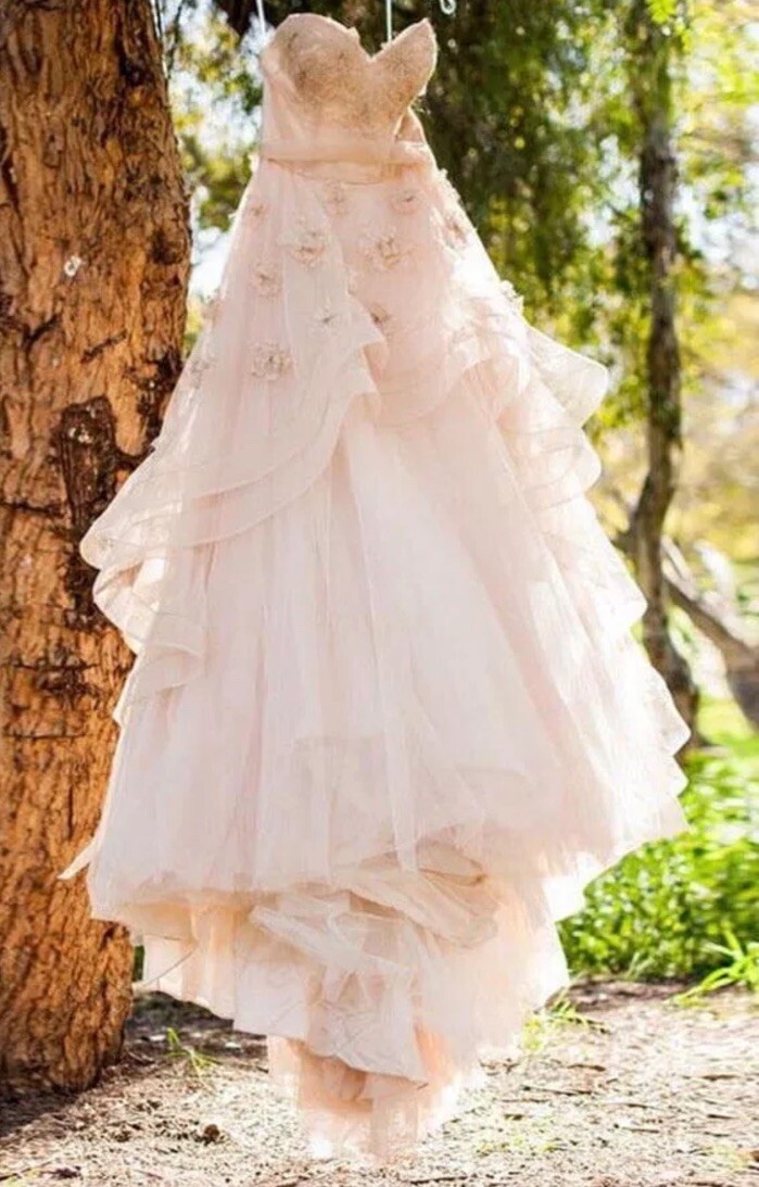 WTOO Olivia Blush Tulle Wedding Gown size 4 With Veil & Custom Straps