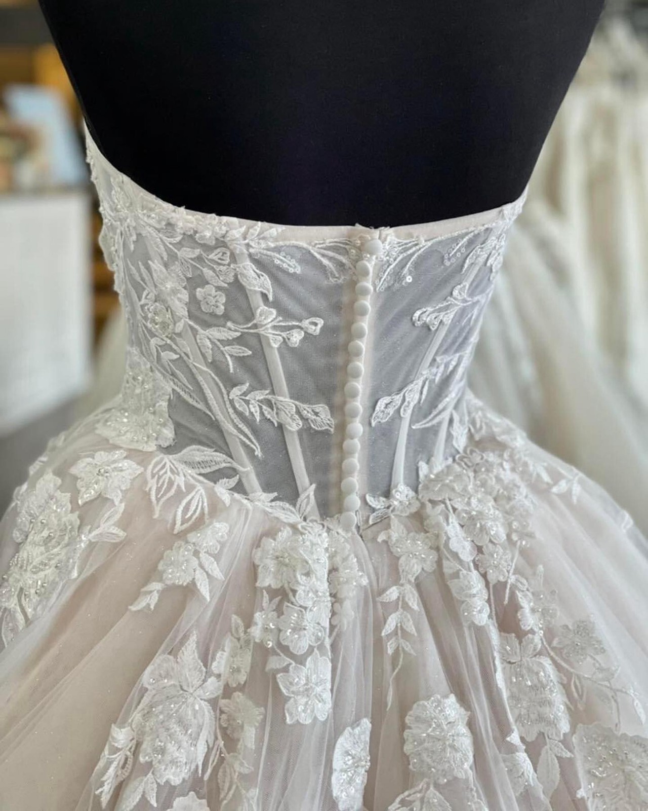 Fairytale Lace Wedding Dress Ball Gown Custom made 2-28W Illusion Corset Blush