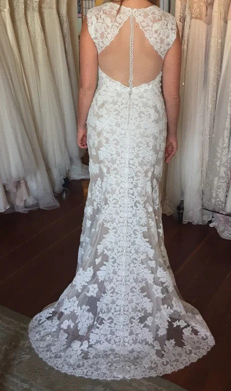 Watters Wtoo Telvanise 19101 Wedding Dress 10 Ivory Nude Lace Sheath Illusion