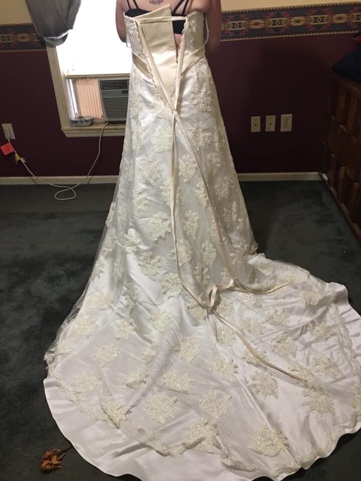 Size 10 Wedding Dress David’s Bridal T9211 Ivory/Champagne