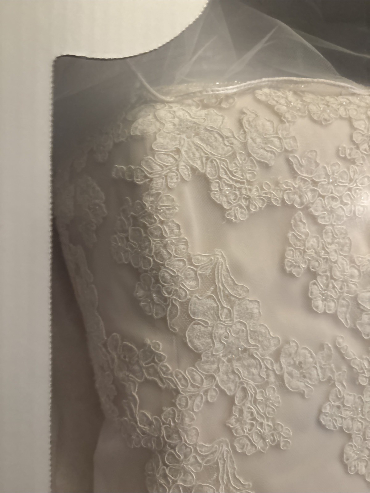 Preserved Petite Ivory Strapless Wedding Gown Sealed