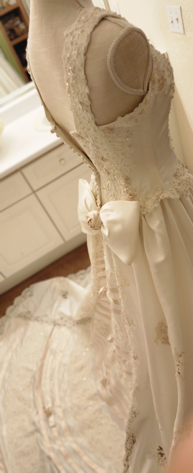 EvaGauthier Ivory Lace Bow Ball Gown Wedding Dress V-Neck Train Petites 4