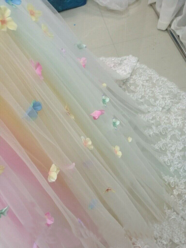 3D Flowers Rainbow Wedding Dresses Strapless Lace Edge Bridal Gown A Line Custom