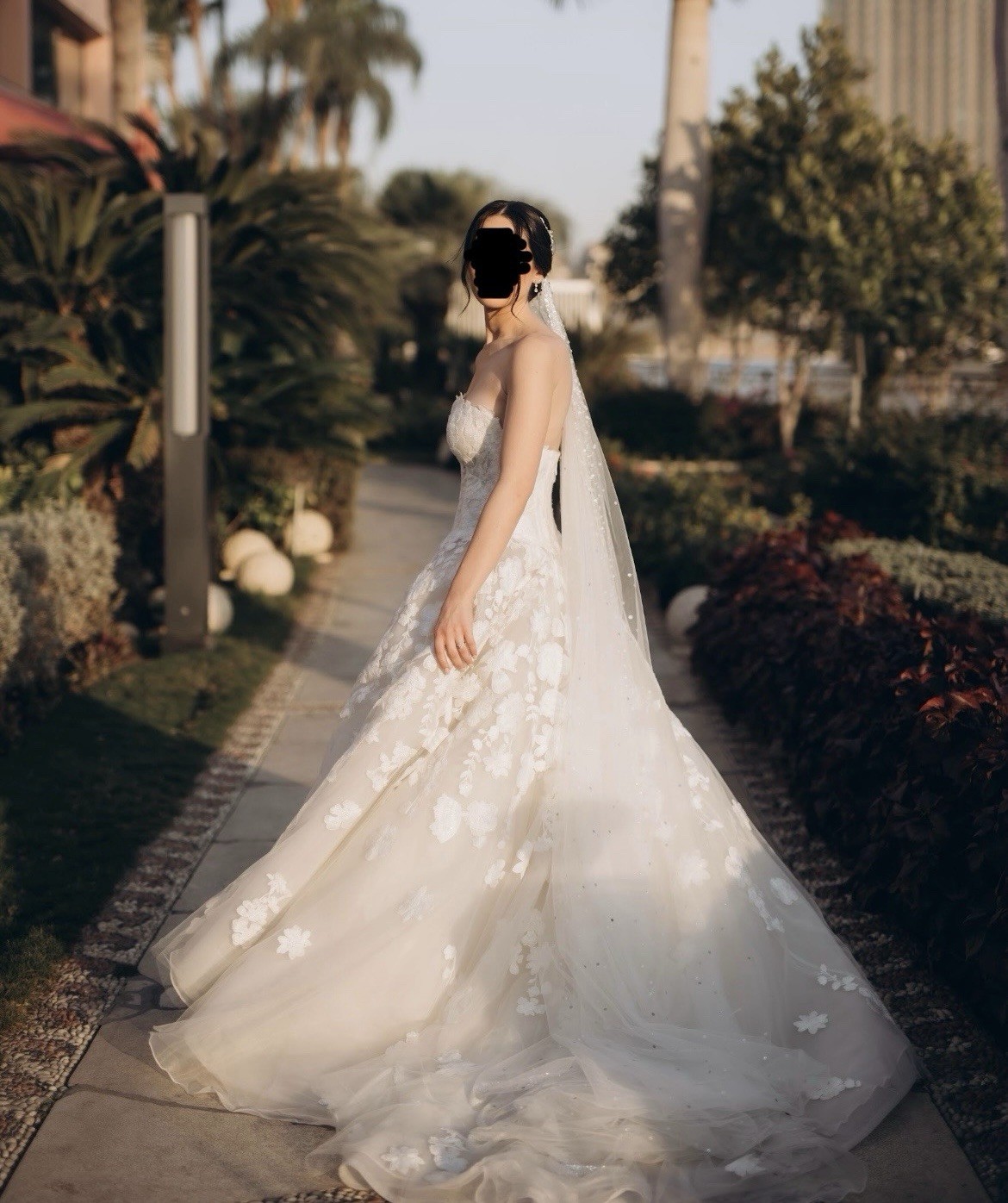 2024 Anne Barge Berkshire Wedding Dress With Custom Unbranded Veil