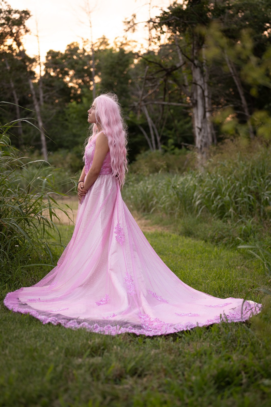 Pink Lace Embroidered Tulle A-Line Wedding Dress V-Neck Sleeveless Full-Length