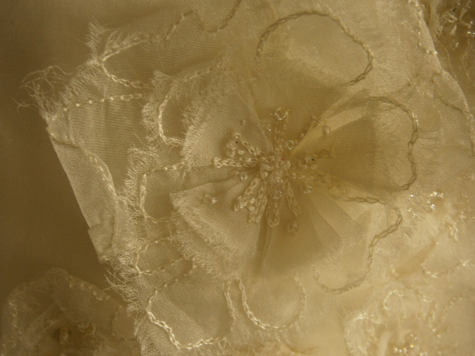 Watters Brides Wedding Dress 10 Ivory A-Line Organza 3-D Floral Overlay