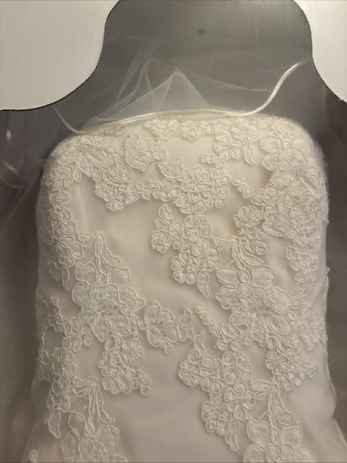 Preserved Petite Ivory Strapless Wedding Gown Sealed