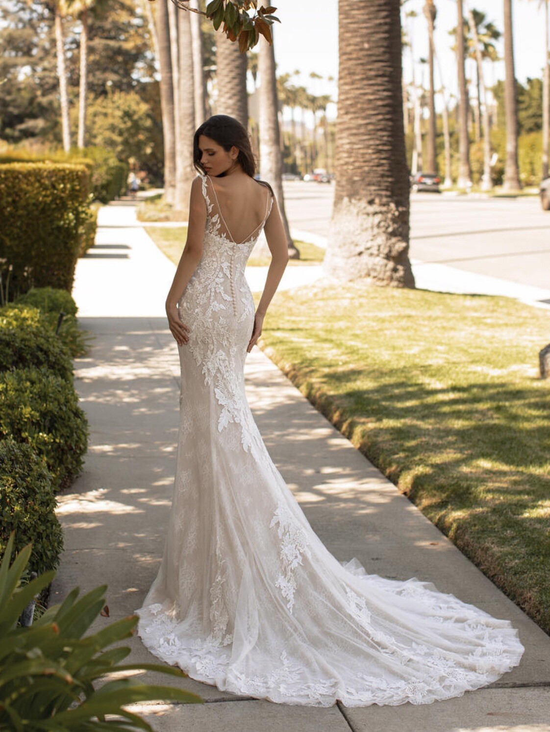 Dehaven, Pronovias & Ashley Graham Brand New Wedding Dress