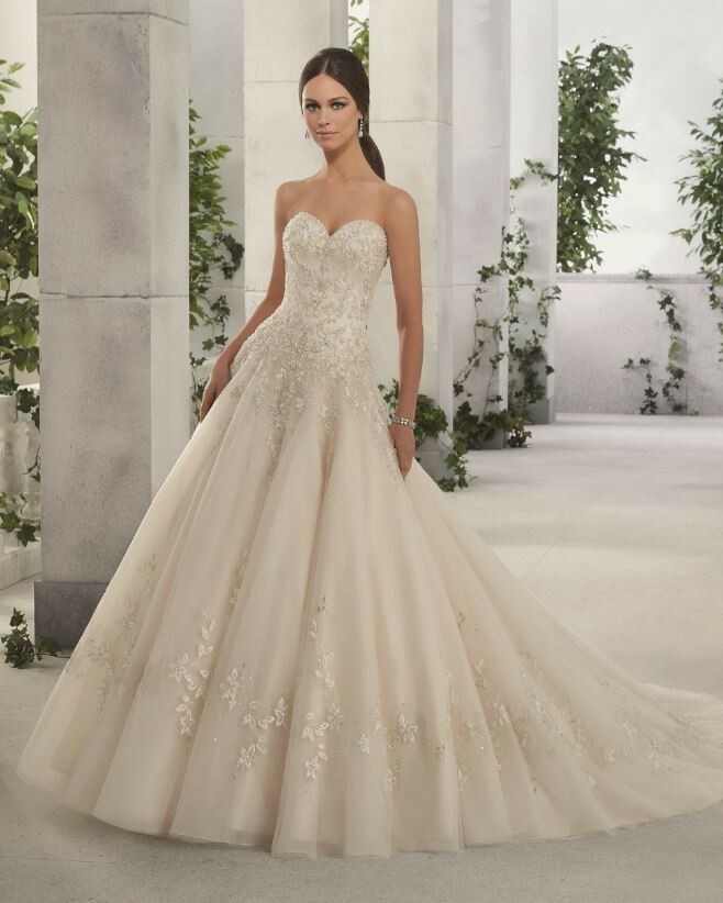 Madeline Gardner MGNY 51249_Light Gold Silver Tulle Feminine Wedding Dress, sz 8