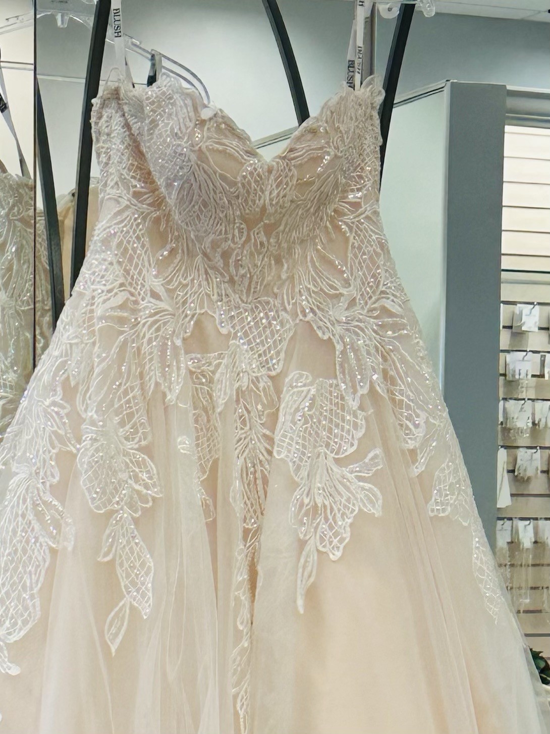 Wedding Formal Dress Size 2 Champagne Never Worn –