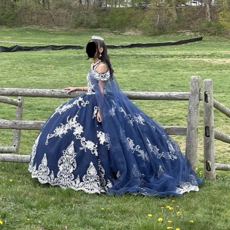 Blue Silver Halter Neck Ball Gown Wedding Dress Tulle Train Corset Lace