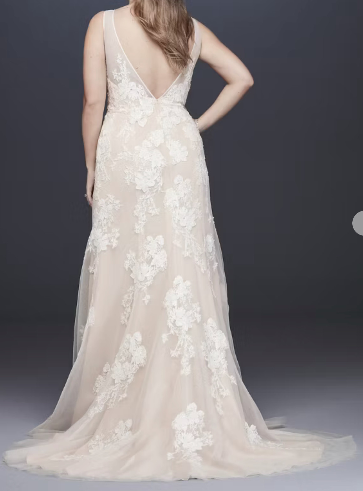MELISSA SWEET Lace Applique Tulle V-Neck Wedding Gown IVRY/CHAMP SZ 20W