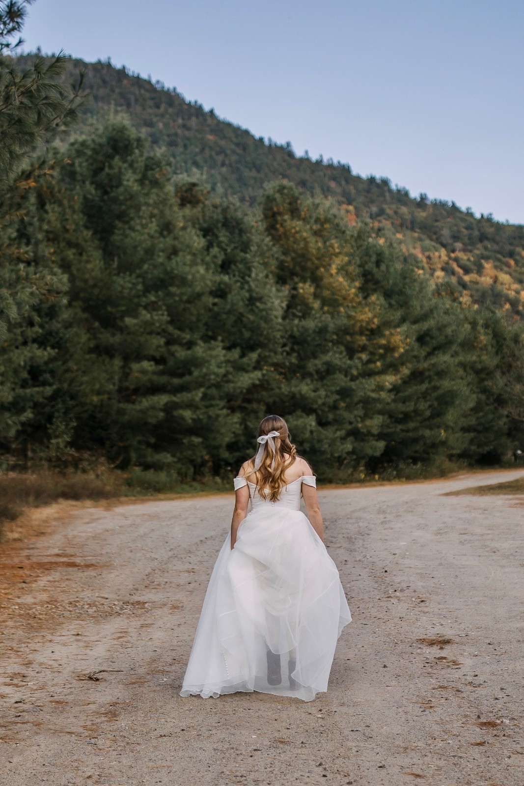 Jenny Yoo “Bronte” Wedding Dress – full length – size 8/10