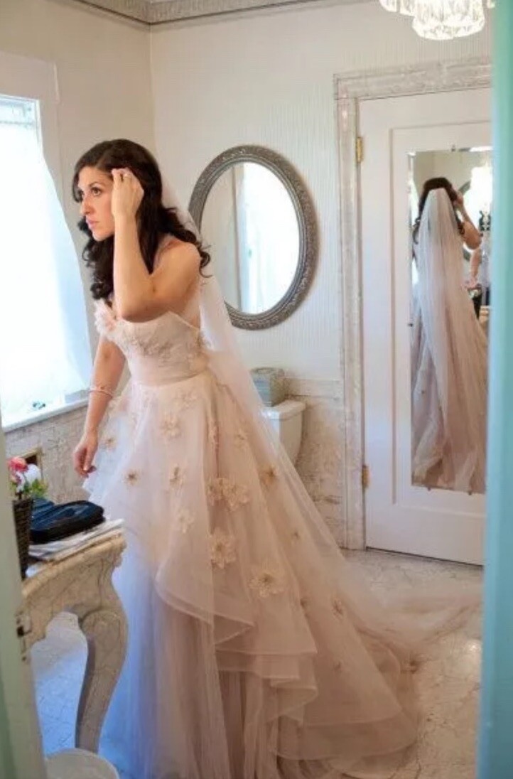 WTOO Olivia Blush Tulle Wedding Gown size 4 With Veil & Custom Straps