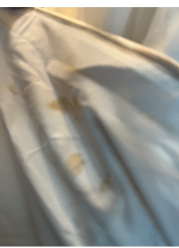 Gorgeous Off-White/Ivory Strapless Wedding Dress with Veil sz 6