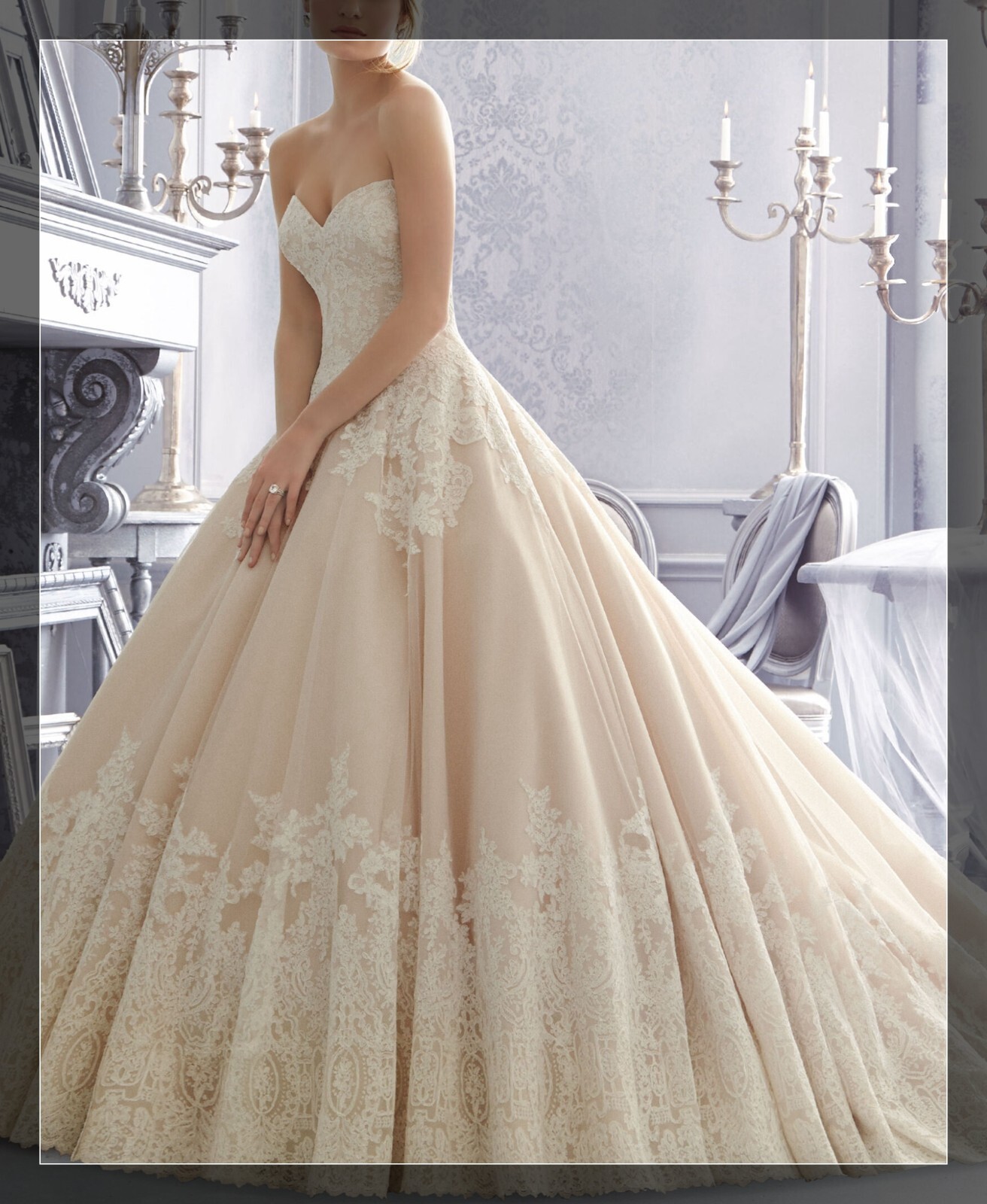 Glamorous Lace Wedding Dress Ball Gown Custom made 2-28W Strapless Blush Bridal