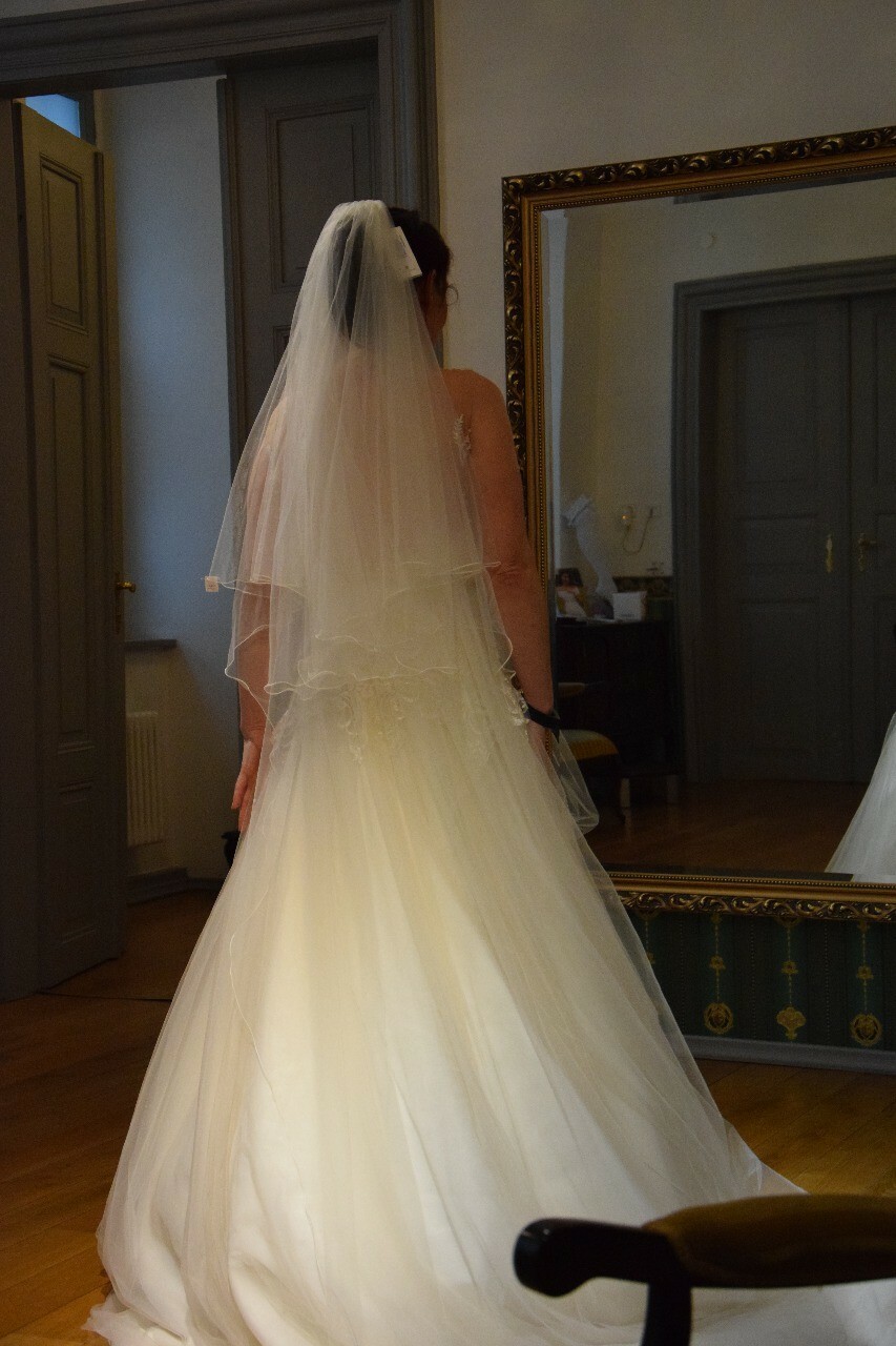 wedding dress with veil
