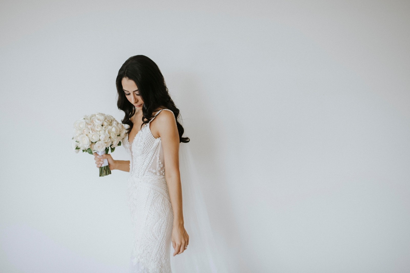 Pallas Couture Cadencia Gown and Veil
