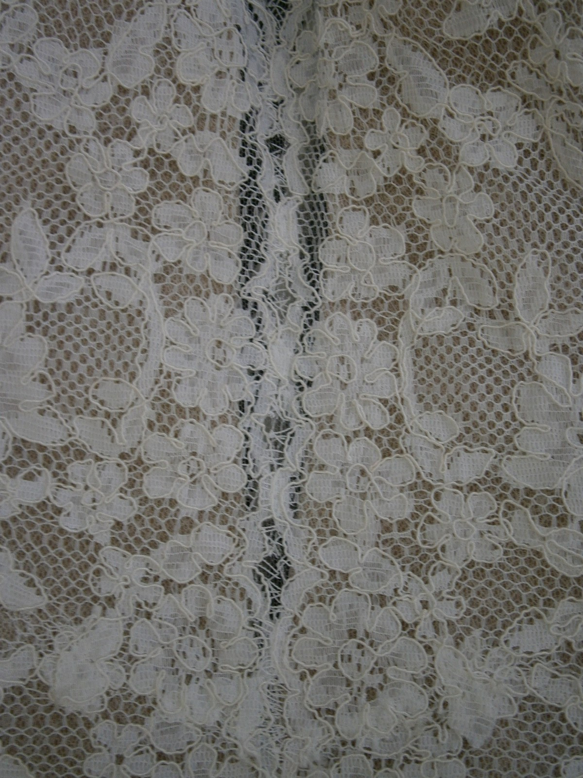 Watters Wtoo Telvanise 19101 Wedding Dress 10 Ivory Nude Lace Sheath Illusion