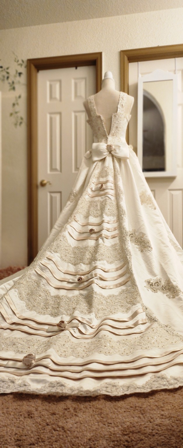 EvaGauthier Ivory Lace Bow Ball Gown Wedding Dress V-Neck Train Petites 4