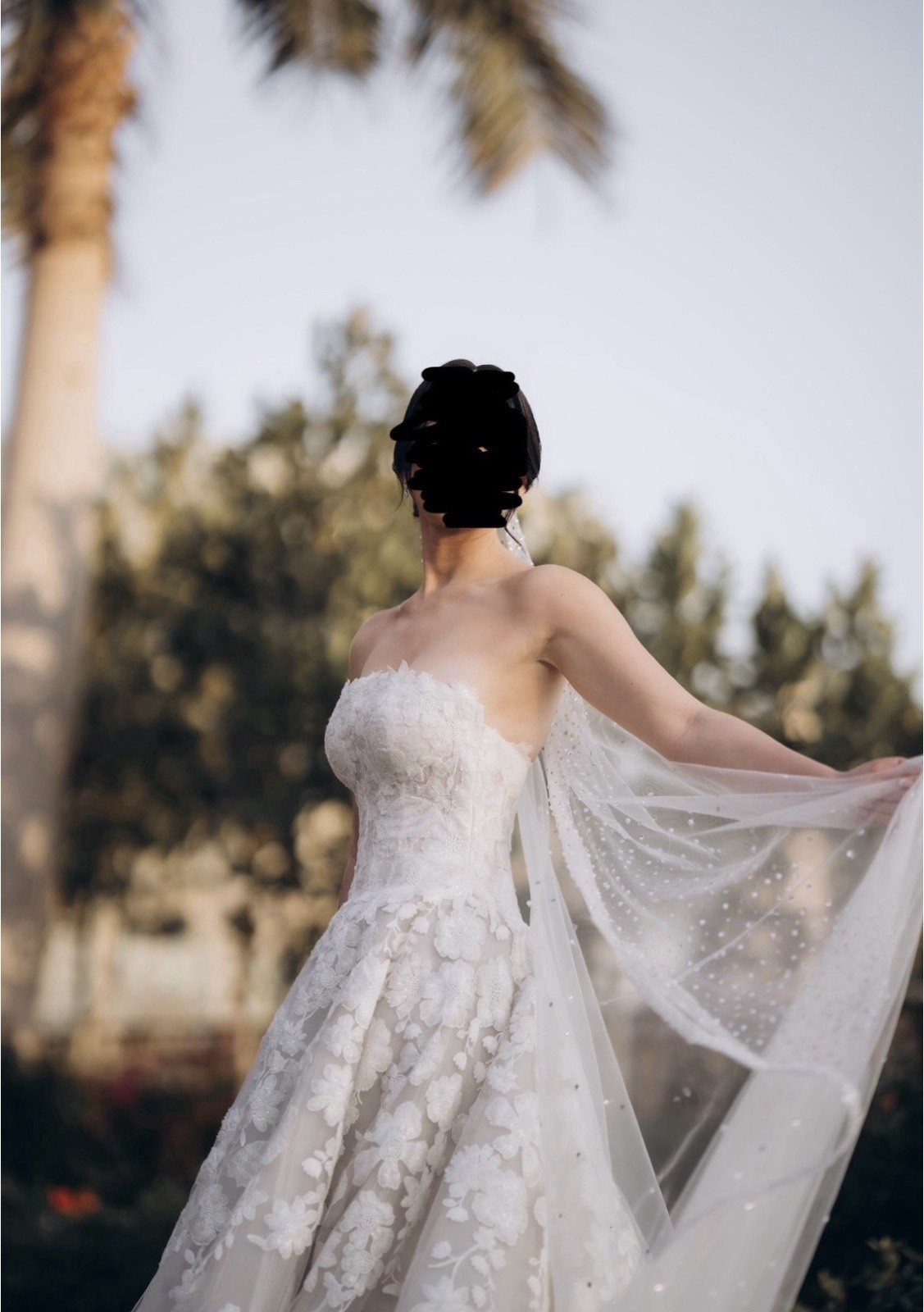 2024 Anne Barge Berkshire Wedding Dress With Custom Unbranded Veil