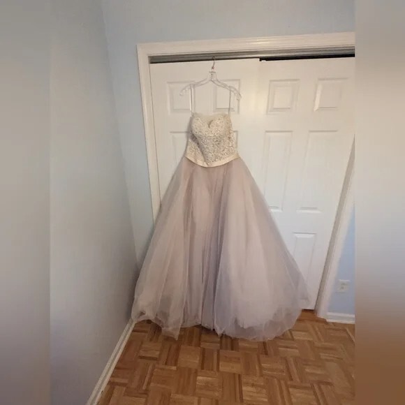 Allure Romance Strapless Nontraditional Ballgown Wedding Dress Item 2853
