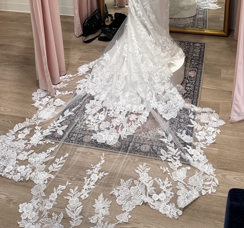 David’s Bridal White Lace Sleeveless Spaghetti Strap Mermaid Dress Long Train