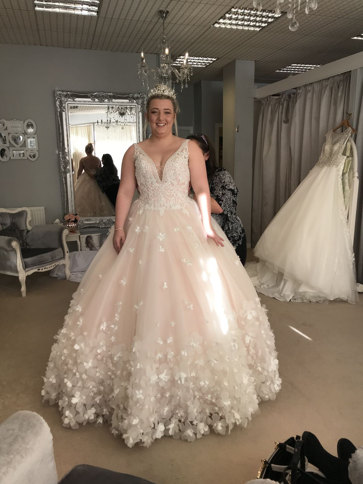 Gorgeous Wedding Dress 3D Butterfly V Neck Lace Blush Pink Plus Size Bridal Gown