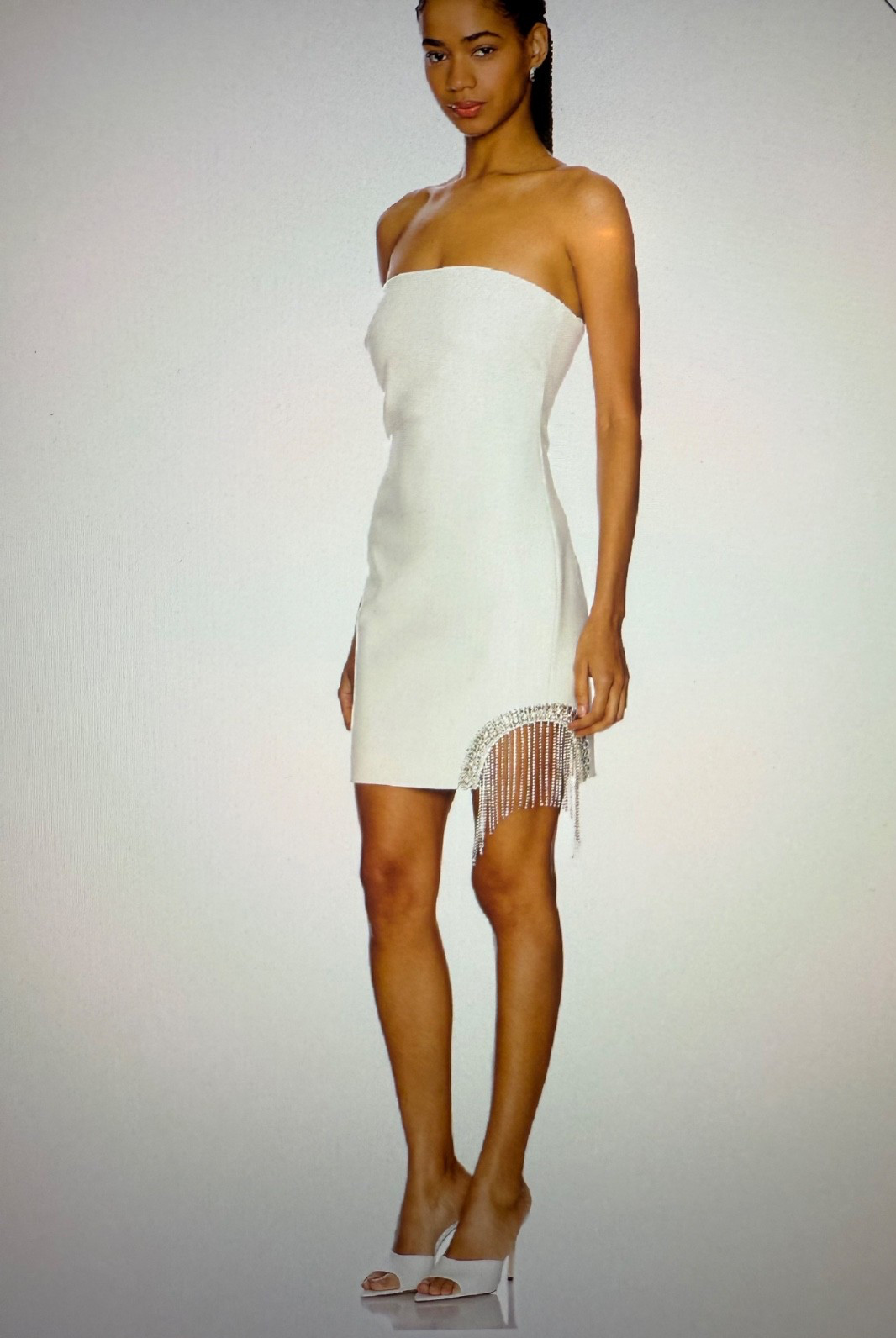 Cinq à Sept Rhinestone Fringe Mini Sammy D dress sz 0 $495