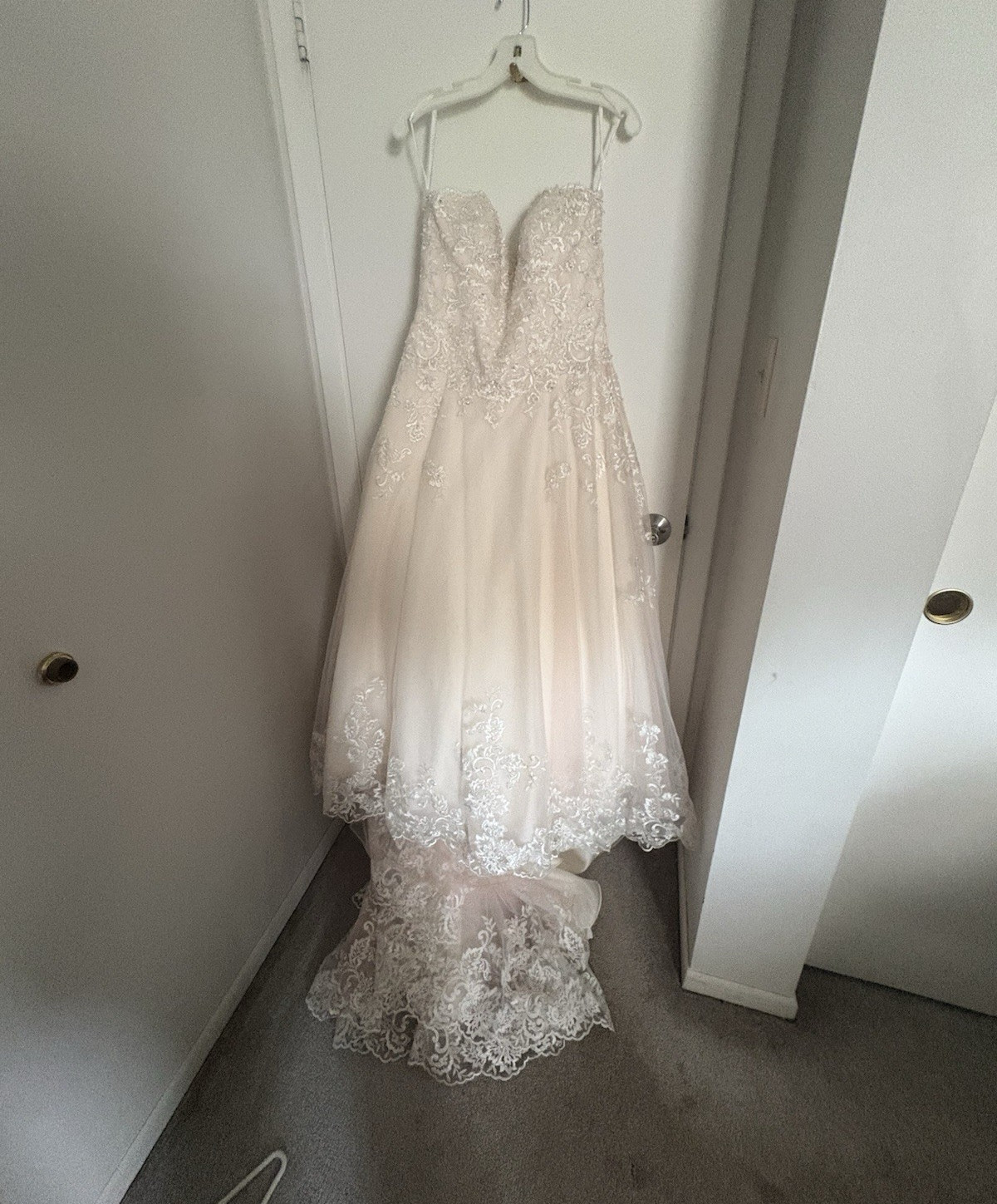 David’s Bridal Petite 10 rosetone Lace Beaded A-Line V-Neck Train VW9660