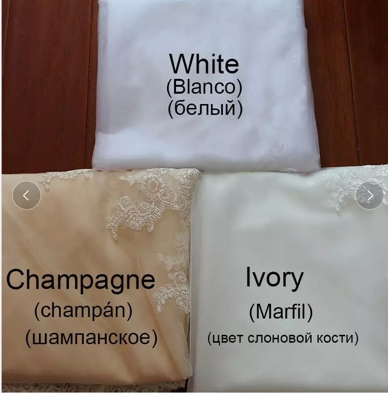 Lace appliques Mermaid Wedding Dresses Court Train Transparent Back Bridal Gowns